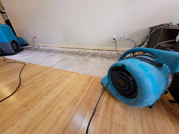 Professional Water Damage Repair technician working in Mineral Ridge, OH